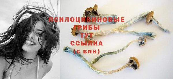 гашиш Аркадак