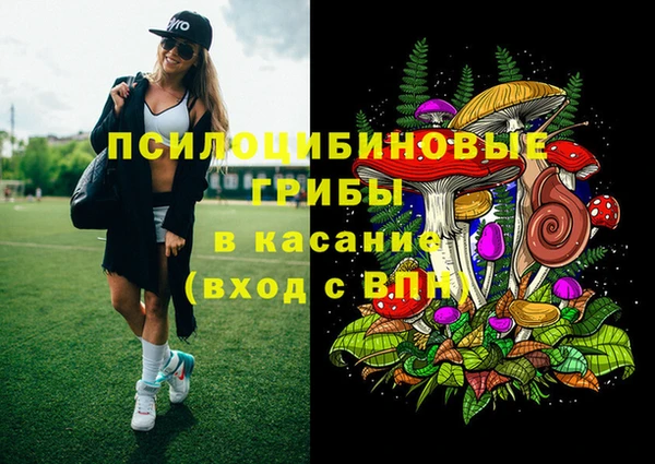apvp Алексеевка