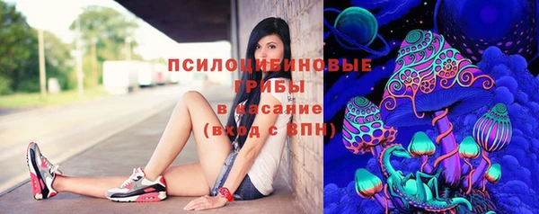 apvp Алексеевка