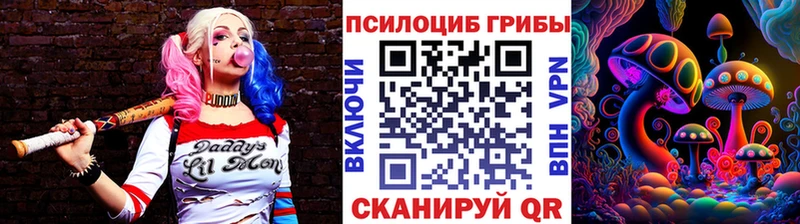 купить наркотики цена  Ленинск-Кузнецкий  Галлюциногенные грибы мицелий 